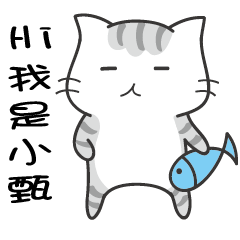 Winking cat name Xiao Zhen exclusive