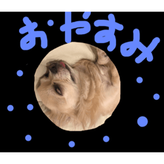 miyuki_20190317171511