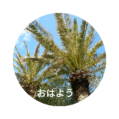 I love Shimoda.2