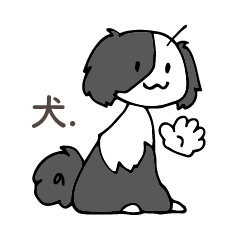ボーダーコリー系片パンダ犬