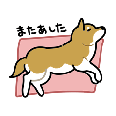 Shiba life sticker