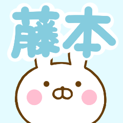 Rabbit Usahina fujimotoo
