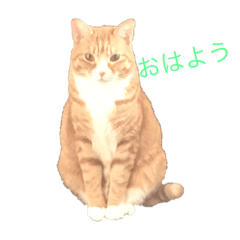 dai_20190317103555