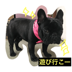 haruna_french_aloha64