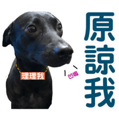 米克斯 樂&茶@@四