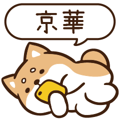 柴語錄 姓名 1402 京華