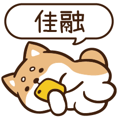 柴語錄 姓名 1404 佳融
