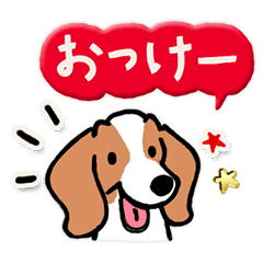 Every Day Dog Beagle Japanese