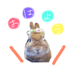 akiko_20190317221655