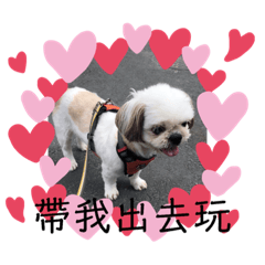 古錐ㄟJOY