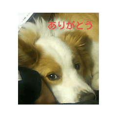 mayumi_20190318134336