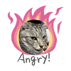 HARUNA_20190318144513