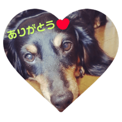 saya_20190318145407