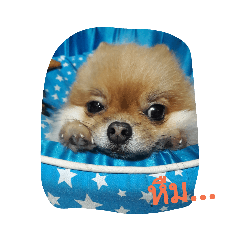 Arisa_20190321225456