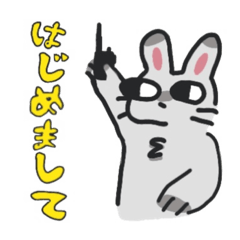 USAGIPIYO