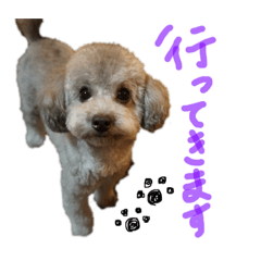 Claire_20190318191358