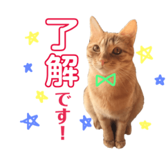mugi_yuzu2