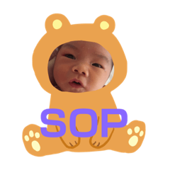 寶貝程勗的sop