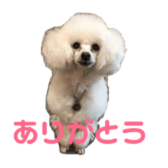 yayoi_20190318224724