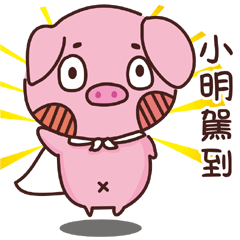 Coco Pig -Name stickers -SIAO MING