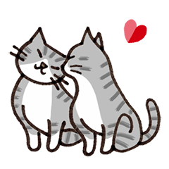 Cat-Silver tabby&white, POLUKO greeting