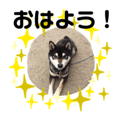 chan_20190319091327