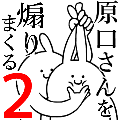 Rabbits feeding2[HARAGUCHI-san]