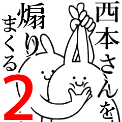 Rabbits feeding2[NISHIMOTO-san]