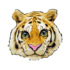 大きな目の虎(タイガー)