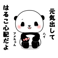 Haruko of panda