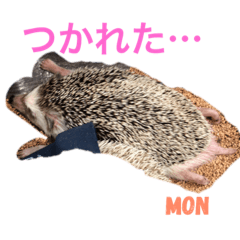 Alice_20190318232510