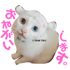 hikari_20190318234418