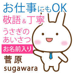 [SUGAWARA]Polite greeting. Rabbit