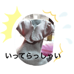 coco hina2