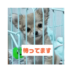 hazuki_20190319170714