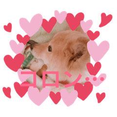 cocoa_20190319153439