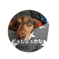 JUNKO_20190319170106