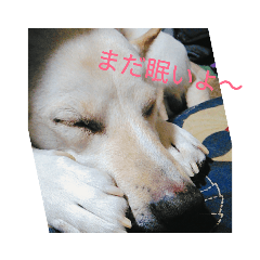 KAHO_20190319182215