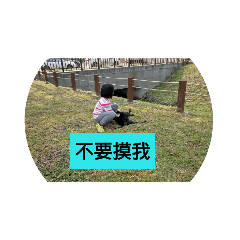 黑扭出遊