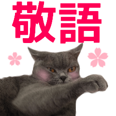 Keigo cat photo sticker