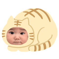 RISA_20190319203926