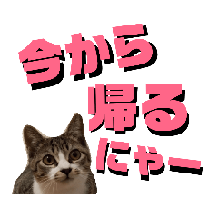 ken_20190319231107