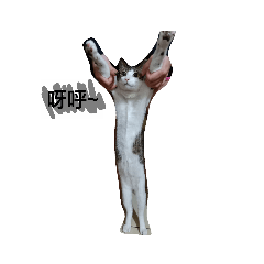 阿咪第二彈