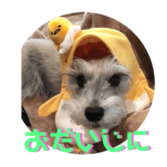 kyoko_20190319233444