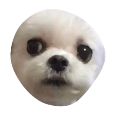 錢錢的精彩人生