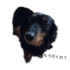 nanami_20190320030915