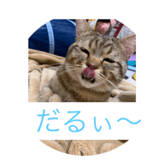 yurina_20190320031115