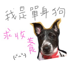 Mako 寶寶