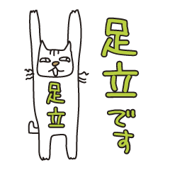 Only for Mr. Adachi2 Banzai Cat