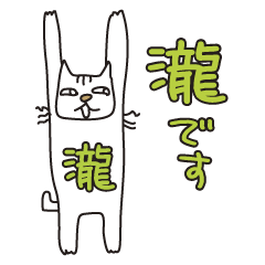 Only for Mr. Taki Banzai Cat